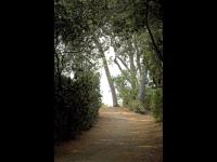 _P7A1754 as Smart Object 1 (FILEminimizer).jpg