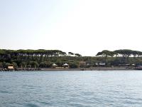 _P7A9951 (FILEminimizer).jpg